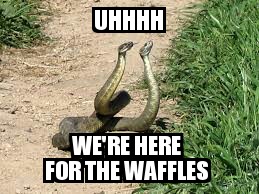 waffle snake.jpg